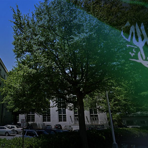 Saudi Arabian flag with a government building and trees